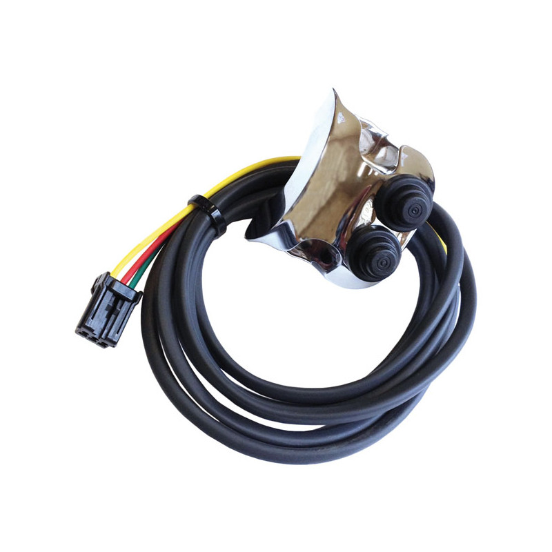 Legend, handlebar control switch assembly. Chrome 