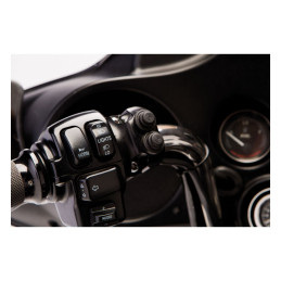 Legend, handlebar control switch assembly. Chrome 