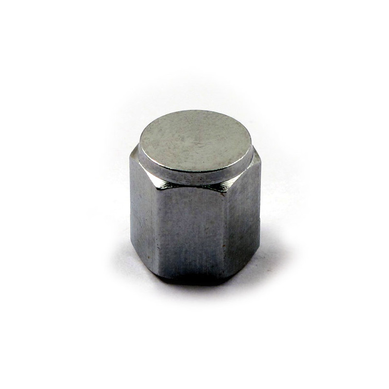 VALVE STEM CAP 10 