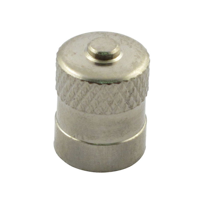 VALVE STEM CAP 24 