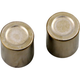 BRAKE CALIPER PISTON KIT 