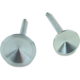 S&S VALVĂ DE ASPIRAȚIE 2.000"
