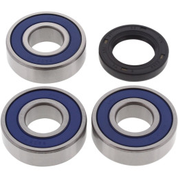 KIT DE RODAMIENTO DE RUEDA TRASERA OEM 9008
