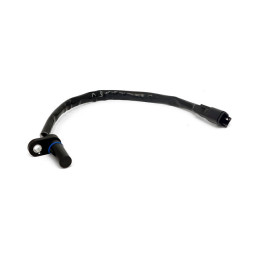 Sensor, crankshaft position V-Rod 02-17 V-Rod (NU)