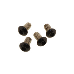 Set șuruburi Screws4Bikes pentru Fat Boy 107/114