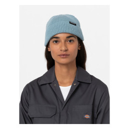 Dickies Woodworth beanie trooper One size fits most