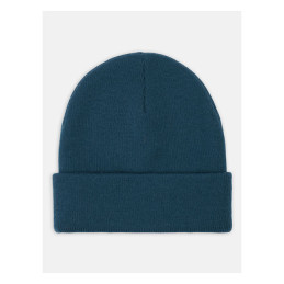 Gorro Gibsland Dickies reflejando estanque