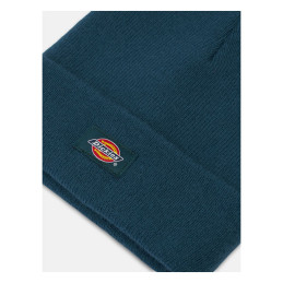 Gorro Gibsland Dickies reflejando estanque