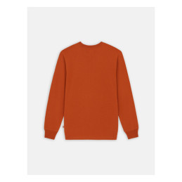 Dickies Koszulka długi rękaw Summerdale bombay brown 2XL