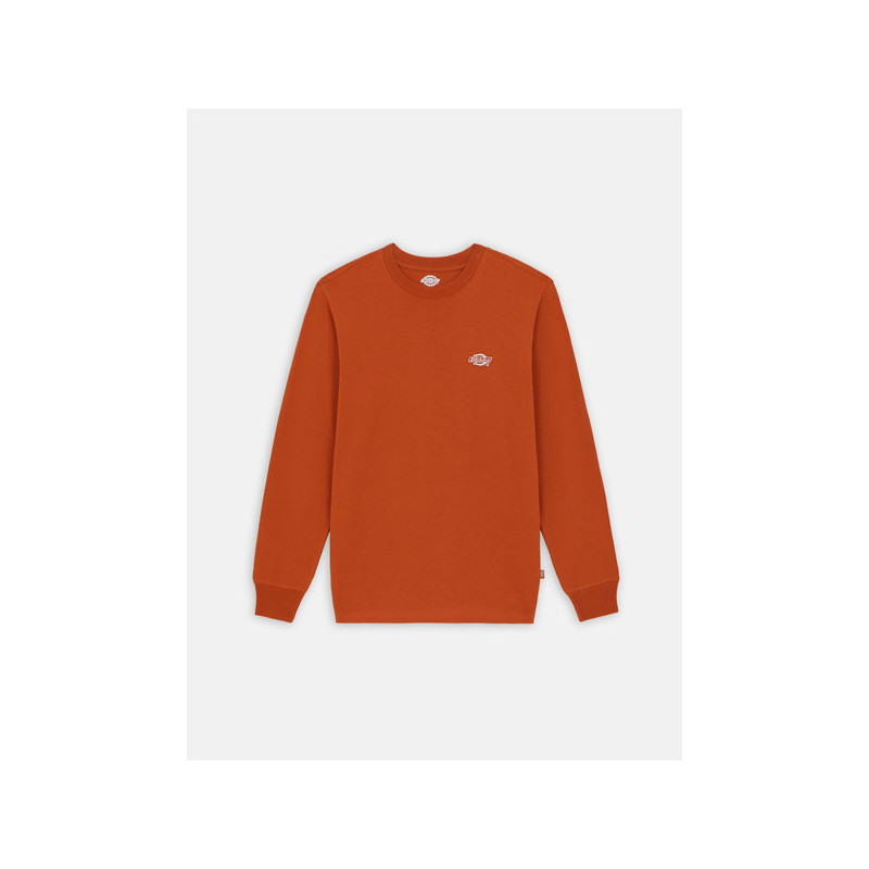 Dickies Koszulka z długim rękawem Summerdale kolor bombay brązowy rozmiar S