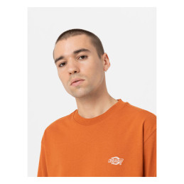 Dickies Koszulka z długim rękawem Summerdale kolor bombay brązowy rozmiar S