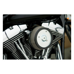 Arlen Ness, Stage 1 Big Sucker air cleaner kit. Custom cover 88-22 XL with custom round air cleaner cover