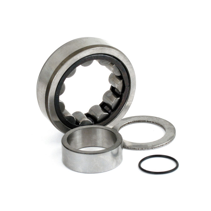 Camshaft roller bearing. Outer, rear 99-06 Twin Cam (excl. 2006 Dyna) (NU)