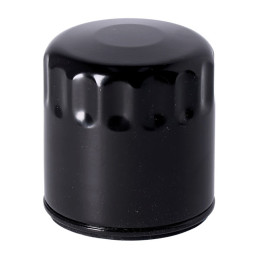 Oil filter, black 21-22 RH1250S Sportster S 21-22 RA1250 Pan America 21-22 RA1250S Pan America Special
