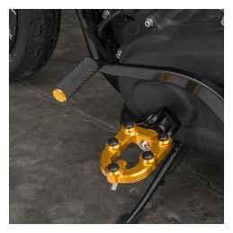 Arlen Ness, MX foot pegs. Gold Ness footpeg mounts