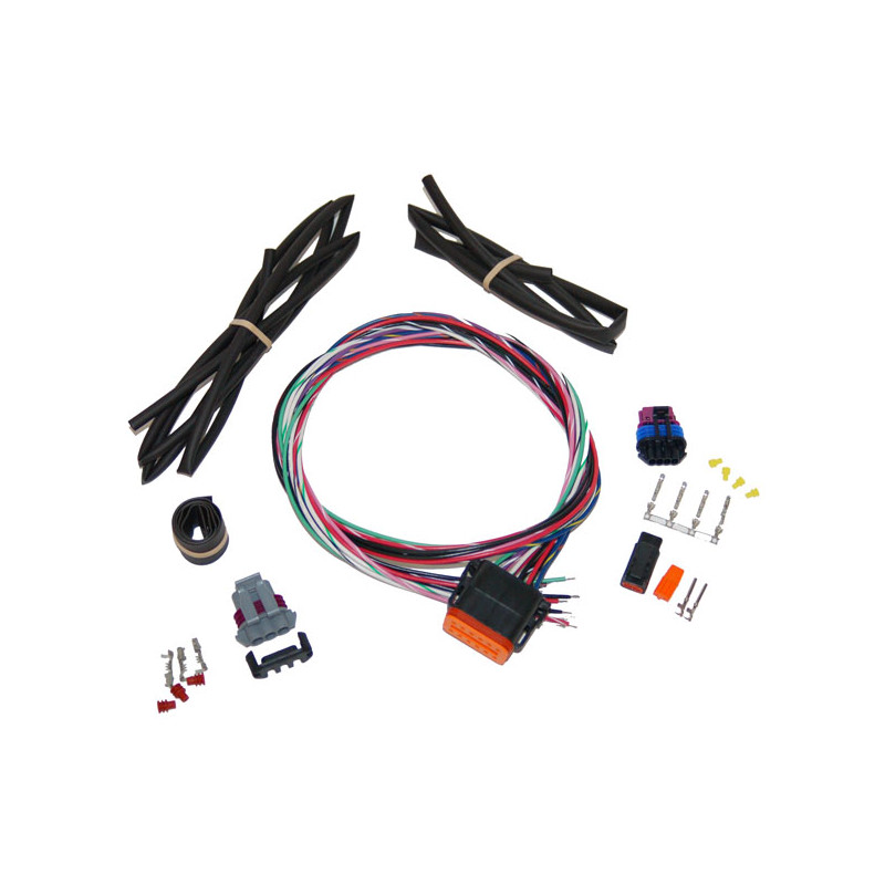 NAMZ, Stand Alone ignition harness Twin Cam with crank position sensor (NU)