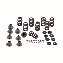S&S, M8 valve spring kit. Steel. .605" valve lift 18-23 Softail 17-23 Touring Trike