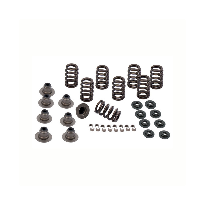 S&S, M8 valve spring kit. Steel. .605" valve lift 18-23 Softail 17-23 Touring Trike