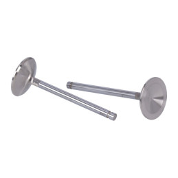 Supape din oțel inoxidabil Manley Severe Duty pentru XL1100 XL1200