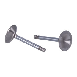 Válvula de acero inoxidable Manley 66-83 Shovelhead