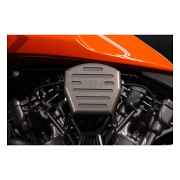 Dynojet, ignition coil guard kit 20-23 RA1250 Pan America 21-23 RA1250S Pan America Special