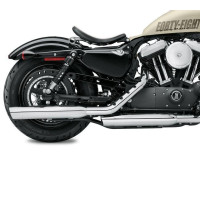 Exhaust System